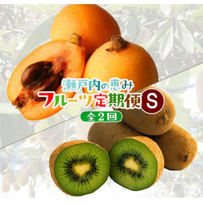ふるさと納税 高松市 【発送月固定定期便】高松市自慢のフルーツ【S】全2回 | 