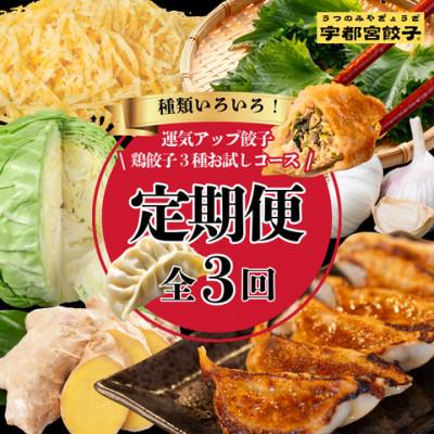 ふるさと納税 宇都宮市 [毎月定期便]宇都宮餃子 運気アップ鶏餃子3種お試しコース(毎月1種・18個入り・冷凍)全3回