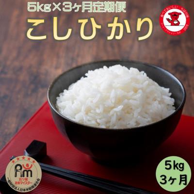 ふるさと納税 銚子市 [毎月定期便]千葉県産コシヒカリ 5kg全3回