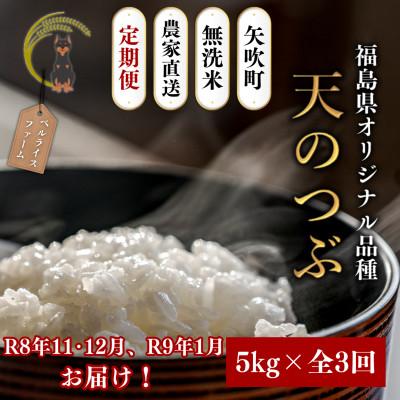 ふるさと納税 矢吹町 [発送月固定定期便][2026年11月より順次発送予定]無洗米 農家直送 天のつぶ 5kg全3回