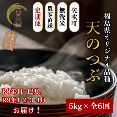 ふるさと納税 矢吹町 [発送月固定定期便][2026年11月より順次発送予定]無洗米 天のつぶ5kg全6回