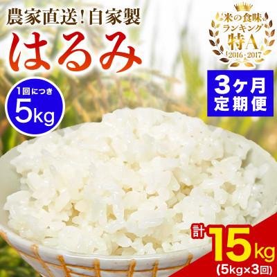 ふるさと納税 伊勢原市 [毎月定期便]伊勢原産 精米はるみ5kg 農家直送!亀井さんちのうんめぇ自家製米全3回