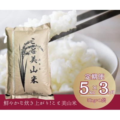 ふるさと納税 南丹市 [毎月定期便]にじのきらめき 精米 5kg(5kg×1袋) 美山町産全3回