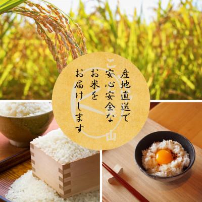 ふるさと納税 南丹市 【毎月定期便】にじのきらめき 精米 5kg(5kg×1袋)美山町産 こと美山米全6回の画像