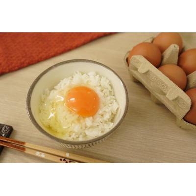 ふるさと納税 飯塚市 [毎月定期便]福岡 平飼い卵 あかねの虜(20個入)全12回