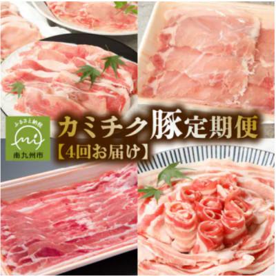 ふるさと納税 南九州市 [発送月固定定期便]鹿児島県産 カミチク豚 定期便(南九州市)全4回