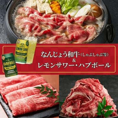 ふるさと納税 南城市 なんじょう和牛(しゃぶしゃぶすきやき)&amp;レモンサワー・ハブボール[複数個口で配送]