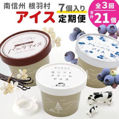 ふるさと納税 根羽村 [毎月定期便]3種類のアイス定期便☆南信州根羽村産アイス が毎月7個届く! 合計21個全3回