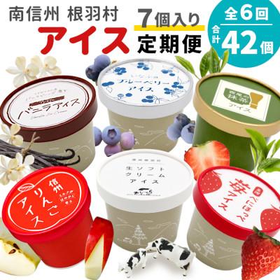ふるさと納税 根羽村 [毎月定期便]アイス定期便☆ 南信州根羽村産アイス が毎月7個届く! 合計42個全6回