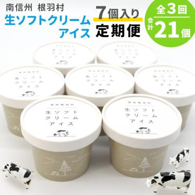 ふるさと納税 根羽村 [2ヵ月毎定期便]生乳の美味しさそのまま!生ソフトクリームアイス 合計21個全3回