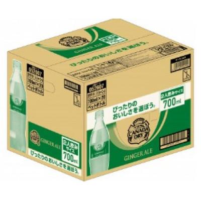 ふるさと納税 鳥栖市 [毎月定期便]ジンジャーエール700ml1箱(鳥栖市)全3回
