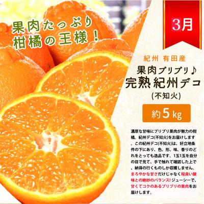 ふるさと納税 印南町 【発送月固定定期便】紀州和歌山産旬のフルーツセット(いちご・ポンカン・紀州デコ)全3回_3