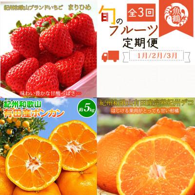 ふるさと納税 美浜町 [発送月固定定期便]紀州和歌山産旬のフルーツセット(いちご2P・ポンカン・紀州デコ約3kg)全3回