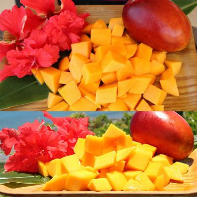 ふるさと納税 南城市 [発送月固定定期便]アップルマンゴー1.5kg&amp;キーツマンゴー2kg 化粧箱全2回