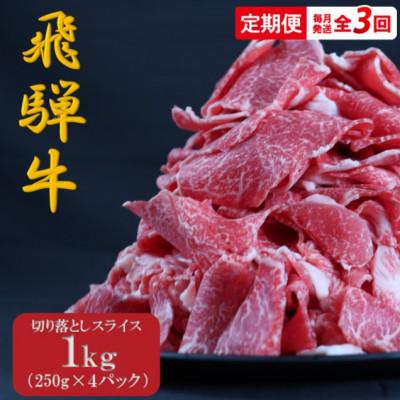 ふるさと納税 岐阜市 [毎月定期便][飛騨牛]切り落としスライス 1kg (250g×4)全3回
