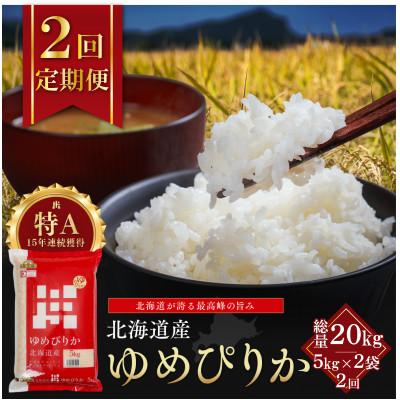ふるさと納税 江別市 [毎月定期便]金王冠 精米 北海道産ゆめぴりか 10kg(5kg×2) 白米 特A全2回