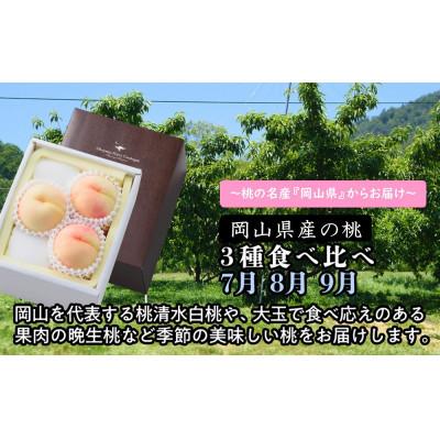 ふるさと納税 岡山市 [発送月固定定期便][全3回定期便]岡山の桃3種食べ比べ(7月・8月・9月)全3回