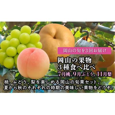 ふるさと納税 岡山市 [発送月固定定期便][全3回定期便]岡山の果物 3種食べ比べ(7月桃・9月ぶどう・11月梨)全3回