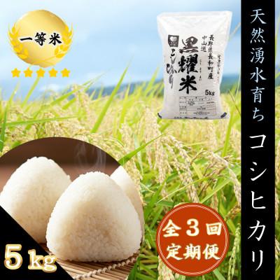 ふるさと納税 長和町 [毎月定期便]コシヒカリ5キロ(kg) 長野県長和町産 農家直送 一等米精白米全3回