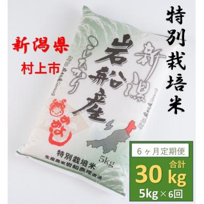 ふるさと納税 村上市 [毎月定期便]特別栽培米 新潟県村上市岩船産コシヒカリ5kg 1013012全6回