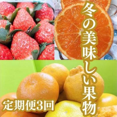 ふるさと納税 坂出市 [発送月固定定期便]冬の美味しい果物全3回