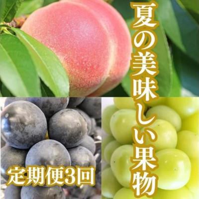 ふるさと納税 坂出市 [発送月固定定期便]夏の美味しい果物全3回