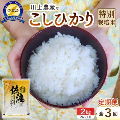 ふるさと納税 佐渡市 [毎月定期便]佐渡 川上農産のコシヒカリ(精米2kg)全3回