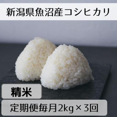 ふるさと納税 十日町市 [毎月定期便]新潟県魚沼産コシヒカリ「山清水米」精米2kg全3回