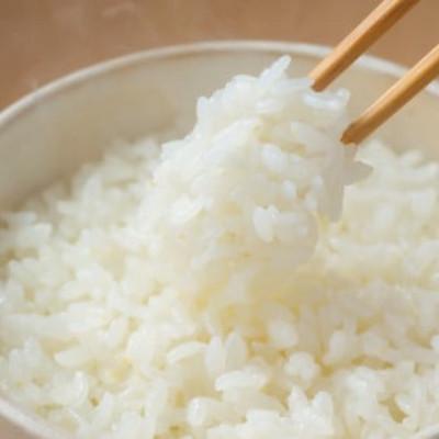 ふるさと納税 田尻町 【毎月定期便】【4.5kg】金芽米 4.5kg×1袋(無洗米)　金芽米計量カップ付全3回 |  | 02