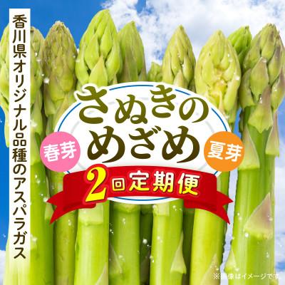 ふるさと納税 三木町 [発送月固定定期便]さぬきのめざめ定期便全2回