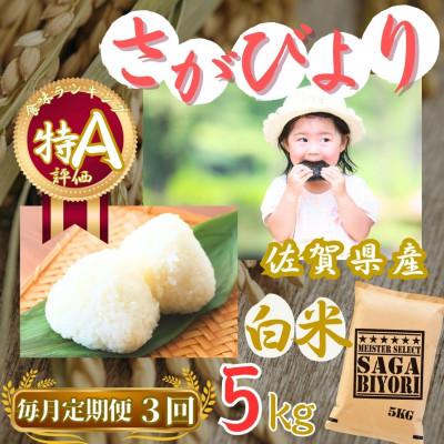 ふるさと納税 伊万里市 [毎月定期便]さがびより[白米]5kg[特A評価][マイスターセレクト](伊万里市)全3回