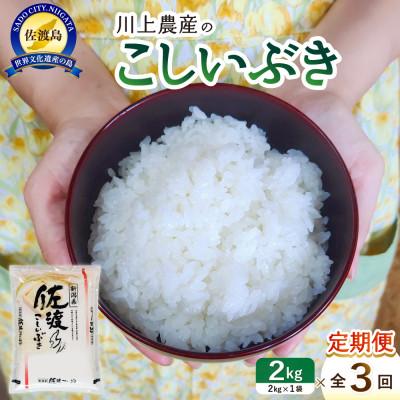 ふるさと納税 佐渡市 [毎月定期便]佐渡 川上農産のこしいぶき 精米(2kg)全3回