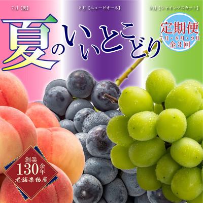 ふるさと納税 丸亀市 [発送月固定定期便][7・8・9月]夏のいいとこどり定期便全3回