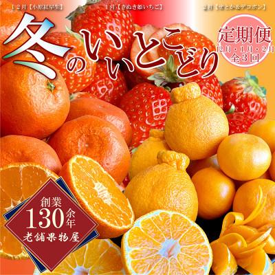 ふるさと納税 丸亀市 [発送月固定定期便][定期便3回(12・1・2月)]冬のいいとこどり定期便全3回