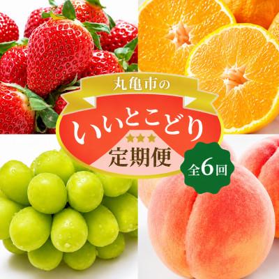 ふるさと納税 丸亀市 [発送月固定定期便][7・8・9・12・1・2月]丸亀市のいいとこどり定期便全6回
