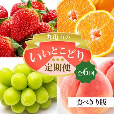 ふるさと納税 丸亀市 [発送月固定定期便][ミニ6回(7・8・9・12・1・2月)]少量版丸亀市のいいとこどり定期便全6回