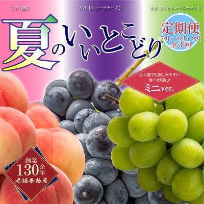 ふるさと納税 丸亀市 [発送月固定定期便][ミニ3回(7・8・9月)]少量版・夏のいいとこどり定期便全3回