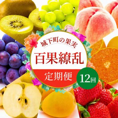ふるさと納税 丸亀市 [発送月固定定期便][百果繚乱] フルーツ 定期便 12ヶ月 城下町の果実 セット全12回