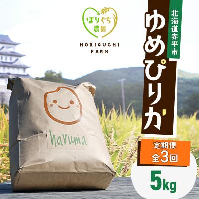 ふるさと納税 赤平市 [発送月固定定期便]ほりぐち農園直送のお米 精米したてゆめぴりか 5kg全3回