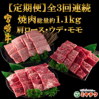 ふるさと納税 三股町 [毎月定期便]宮崎牛味わい尽くし総量1.1kg[MI241](三股町)全3回