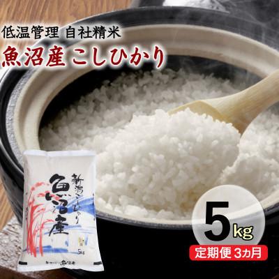 ふるさと納税 十日町市 [毎月定期便]新潟県魚沼産コシヒカリ 厳選 低温管理 自社精米 5kg全3回