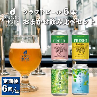 ふるさと納税 遠野市 [発送月固定定期便]クラフトビール おまかせ 6本セット GOOD HOPS全6回