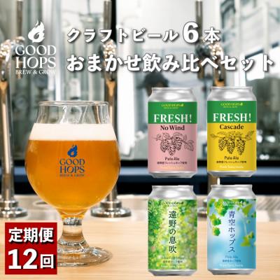 ふるさと納税 遠野市 [毎月定期便]クラフトビール GOOD HOPS おまかせ 飲み比べ 6本セット全12回