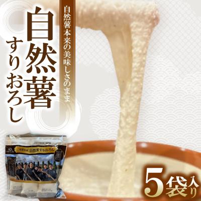 ふるさと納税 草津市 [毎月定期便]自然薯 すりおろし 冷凍 50g×5パック全3回