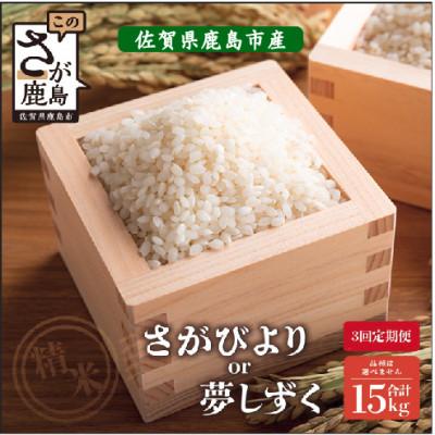 ふるさと納税 鹿島市 [毎月定期便]さがびよりor夢しずく 5kg 1袋[品種指定不可]精米済 白米全3回