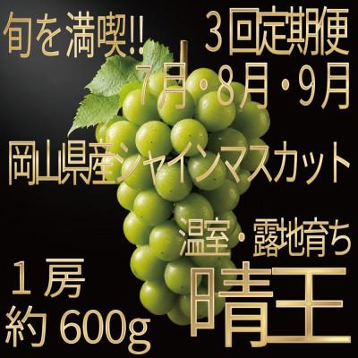 ふるさと納税 浅口市 [発送月固定定期便][HS]7月・8月・9月発送温室・露地晴王1房約600g全3回