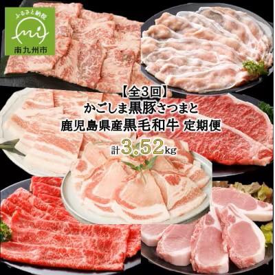 ふるさと納税 南九州市 [毎月定期便]かごしま黒豚さつまと鹿児島県産黒毛和牛 計3.52kg(南九州市)全3回