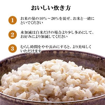 ふるさと納税 諫早市 【3ヵ月毎定期便】丸麦(長崎県産)20kg×1袋全3回の画像