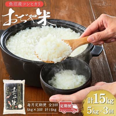 ふるさと納税 小千谷市 [毎月定期便]新潟県 魚沼産 コシヒカリ 精米5kg お申込み後に精米 おぢや米全3回