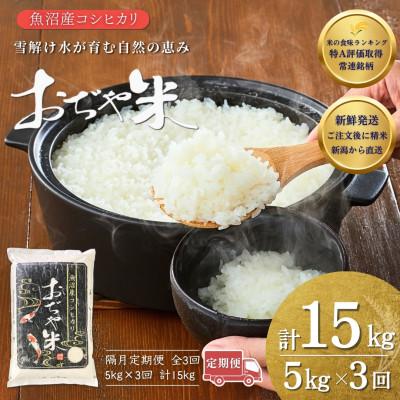 ふるさと納税 小千谷市 [2ヵ月毎定期便]新潟県 魚沼産 コシヒカリ 精米5kg お申込み後に精米 おぢや米全3回